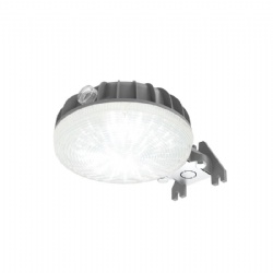 HOMESTAR 3CCT SELECTABLE  42W 5200LM INTEGRATED D2D SECURITY BARN LIGHT