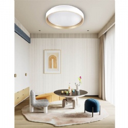HOMESTAR 5CCT LED CEILING LIGHT--DUCK
